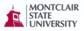 msulogo.bmp