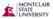 msulogo.bmp