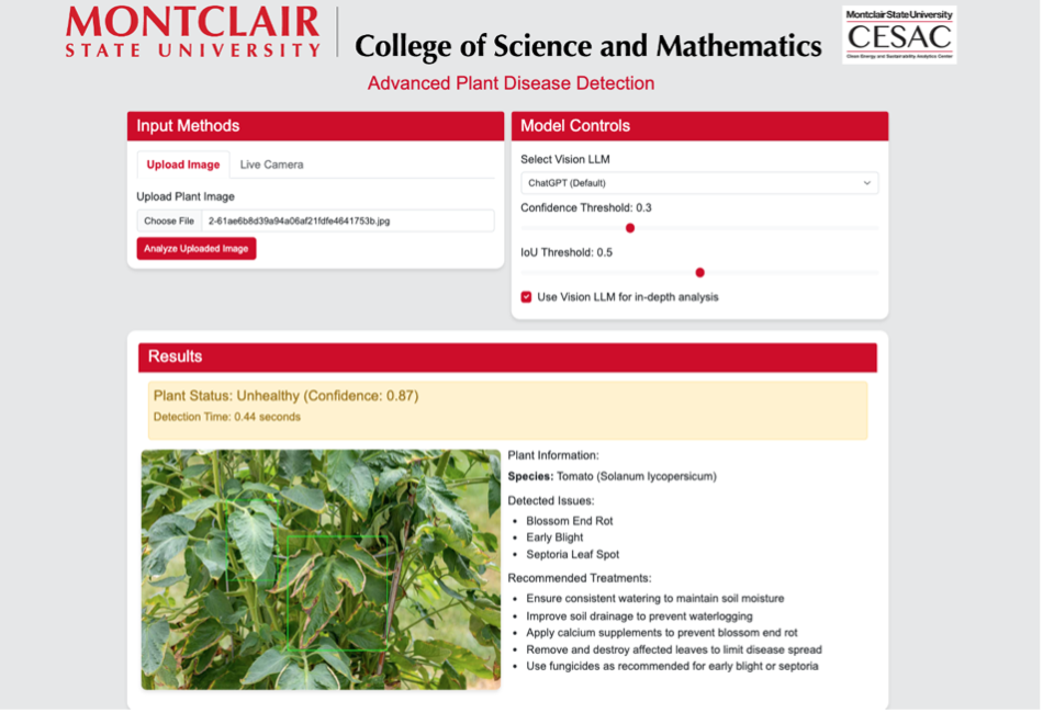 Plant Disease Detection 2